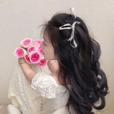 侦探米娜海报